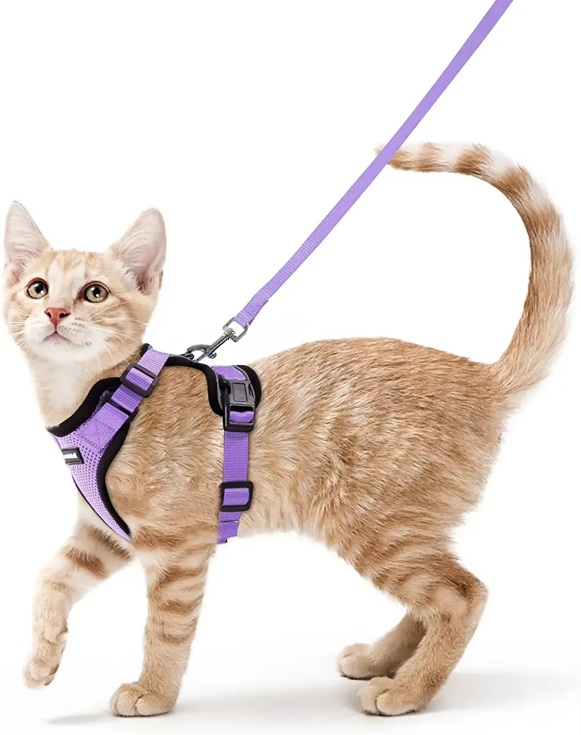 Cat Harness and Leash for Walking,Escape Proof Soft Adjustable Vest Harnesses for Cat,Breathable Reflective Strips Jacket