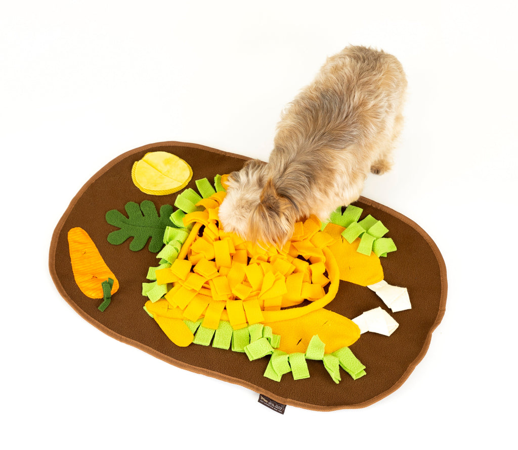 Thanksgiving Snuffle Mat