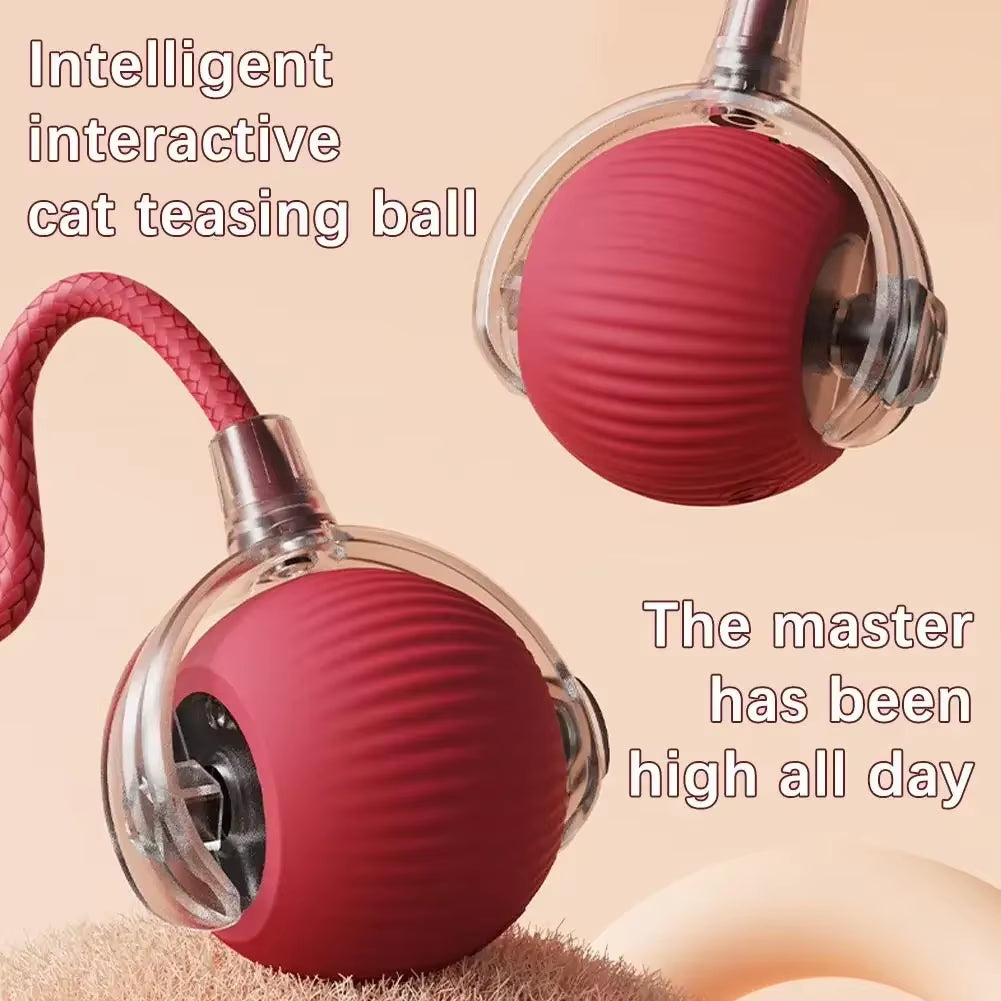 Automatic Rolling Fake Tail Ball for Cat Toys Dog and Cat Training Imitation Mouse Rechargeable Smart Pet Electric Toy Cats Home
